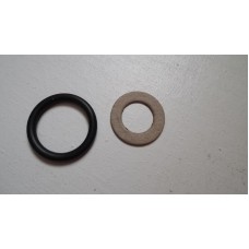 Speedo drive gasket and oil seal